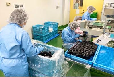 土日祝休み　工場内軽作業スタッフ